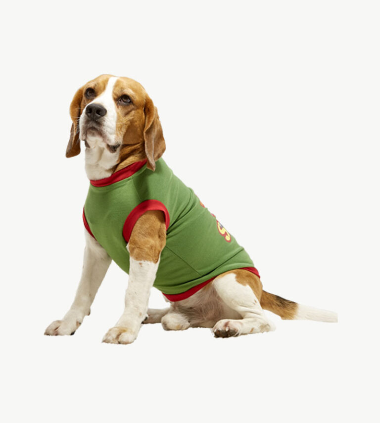 petshirt-4